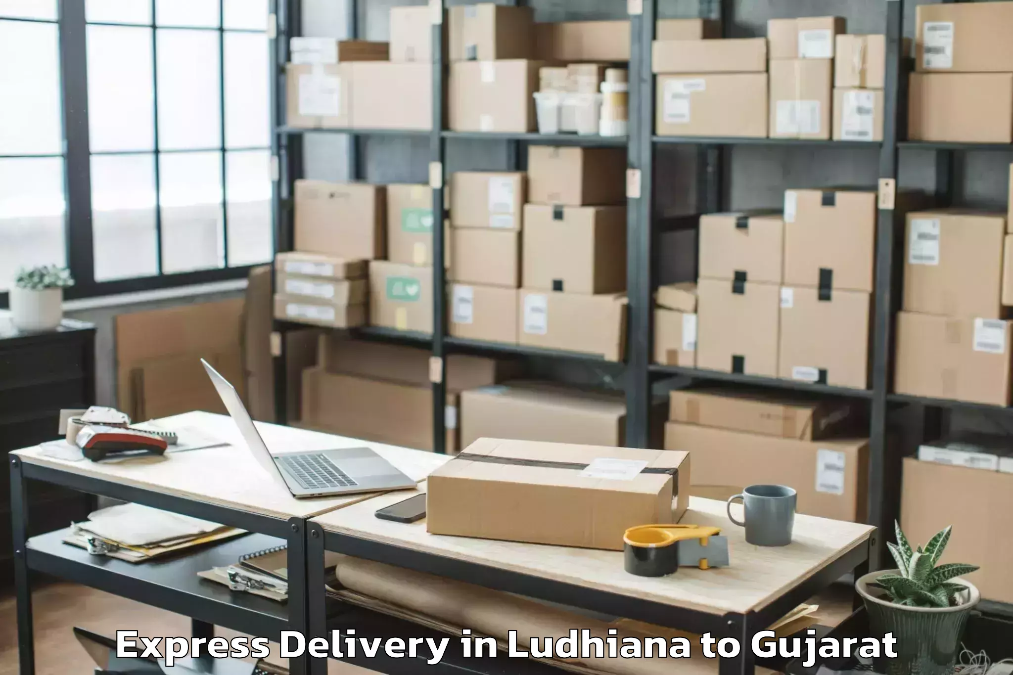 Professional Ludhiana to Satlasana Express Delivery